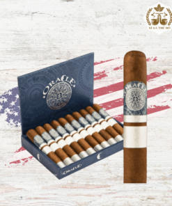 cigar oracle salome hộp 10 Điếu
