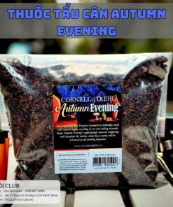 Thuốc tẩu C&D Autumn Evening ( CHÍNH HÃNG )