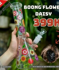 Boong FLOWER DAISY