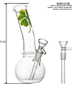 Boong Thuỷ Tinh Cỏ 3 Lá