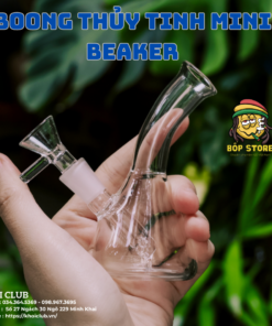 Boong Thủy Tinh Mini Beaker