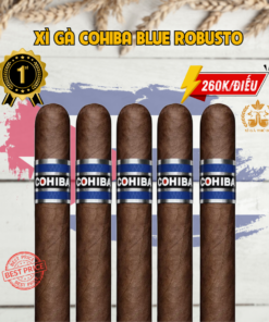 Top 5 Xì Gà Được Yêu Thích Nhất Tại Xì Gà Thủ Đô