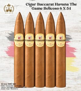 Cigar Baccarat Havana The Game Belicoso 6x54