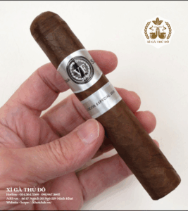 Xì gà VegaFina Sumum Edicion Especial 2010
