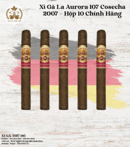 Xì Gà La Aurora 107 Cosecha 2007 – Hộp 10 Chính Hãng