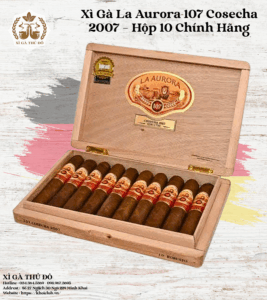 Xì Gà La Aurora 107 Cosecha 2007 – Hộp 10 Chính Hãng