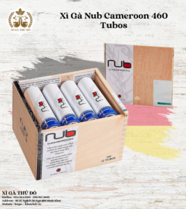Xì Gà Nub Cameroon 460 Tubos