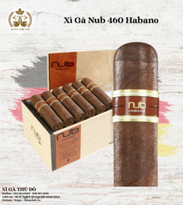 Xì Gà Nub 460 Habano