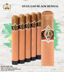 Xì Gà CAO Black Bengal