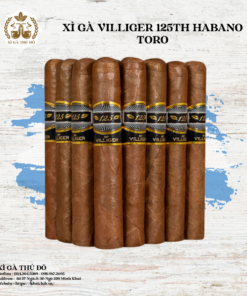 Xì Gà Villiger 125th Habano Toro