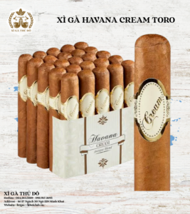 Xì Gà Havana Cream Toro