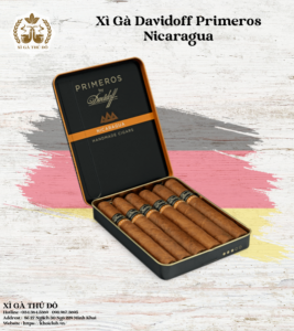 Xì Gà Davidoff Primeros Nicaragua