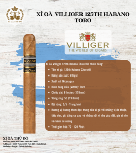 Xì Gà Villiger 125th Habano Toro