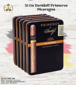 Xì Gà Davidoff Primeros Nicaragua