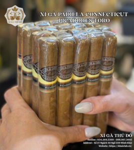 Xì Gà Padilla Connecticut Picadores Toro