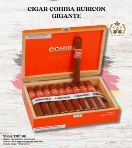 Cigar Cohiba Rubicon Gigante