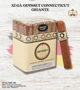 Xì gà Odyssey Connecticut Gigante