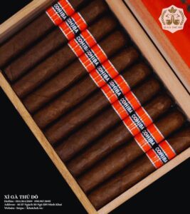 Cigar Cohiba Rubicon Gigante