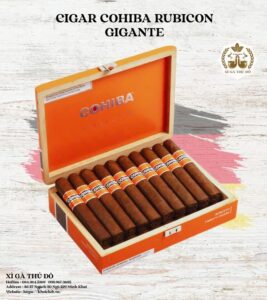Cigar Cohiba Rubicon Gigante