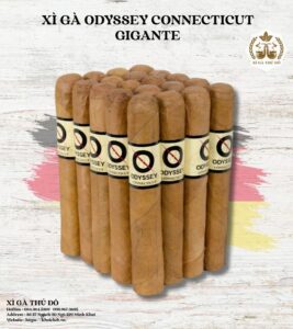 Xì gà Odyssey Connecticut Gigante