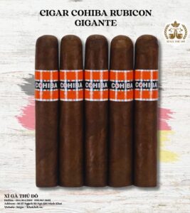 Cigar Cohiba Rubicon Gigante